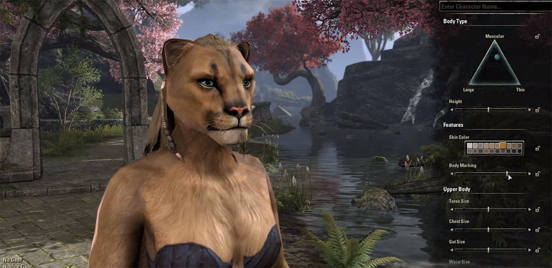 Illustration for article titled How We'll Create The Prettiest Elder Scrolls Characters Ever
